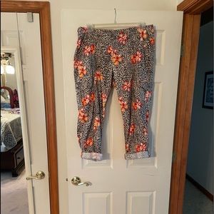 Boston Proper Size 14 Convertible pants